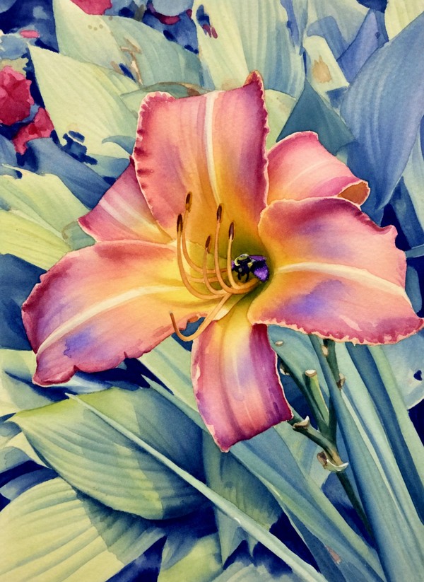 Peach Daylily watercolor with pink petals and a golden center